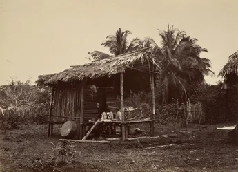 Tropische Landschaft, Einheimische Hütte, Turbo, 1871