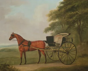 Ein Brauner angespannt an einen Tilbury