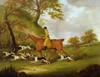 Jäger und Hunde