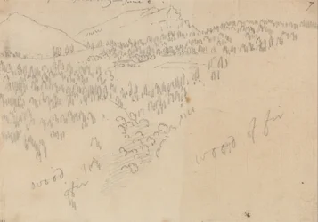 Zwischen Innsbruck und Schönberg