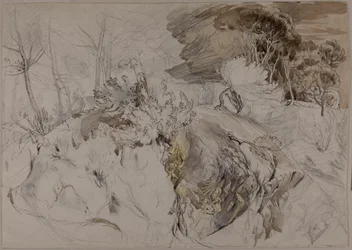 Sträucher und Bäume in felsiger Landschaft