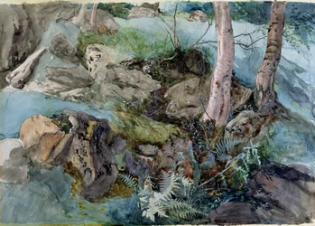 Studie von Felsen und Farnen in einem Wald bei Crossmount, Perthshire, 1843