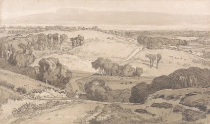 Holt Heath, nahe Norwich
