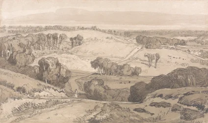 Holt Heath, nahe Norwich