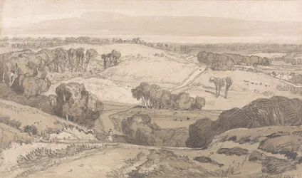 Holt Heath, nahe Norwich