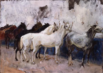 Pferde in Palma, Mallorca, Spanien, 1908