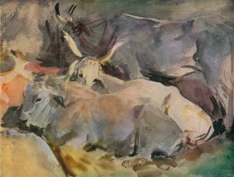 Ochsen in Siena, um 1910