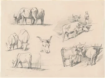 Studien von Rindern, ca. 1872