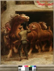 Belgische Hengste