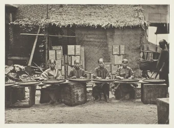 Teeernte in Kanton