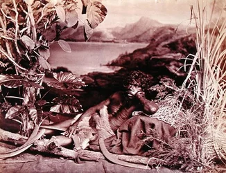 Australier, ca. 1874