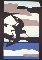 Austernfischer