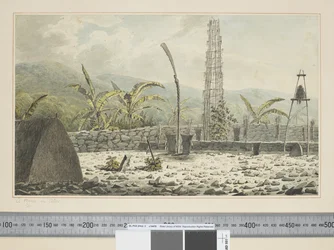 F.17 Ein Morai in Atooi, um 1773-84 (Aquarell)