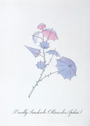 Tödlicher Sonnenschirm (Parasolia Spikeii.), Illustration aus 