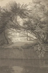 Bäume über einem See