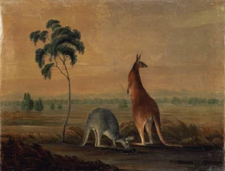 Kängurus in einer Landschaft, um 1819