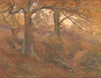 Waldlandschaft