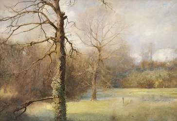 Frühling