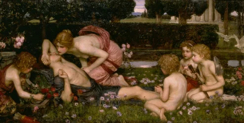 Das Erwachen des Adonis