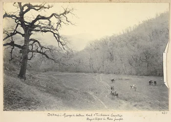 Razavi-Chorasan-Provinz, Iran, ca. 1908 (s/w Foto)