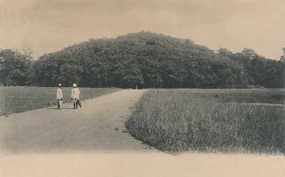 Der Banyanbaum, Botanischer Garten, Kalkutta, 1906