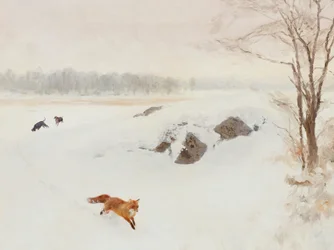 Roter Fuchs Winterverfolgung
