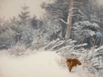 Winterwald Fuchs
