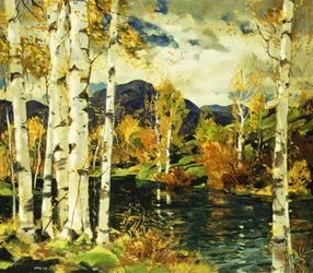 Birken
