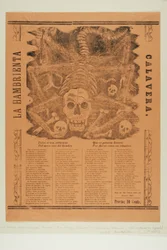 Die verhungernde Calavera