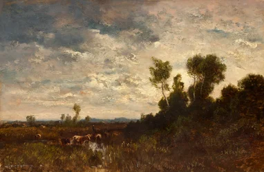 Moorlandschaft