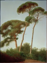 Pinien