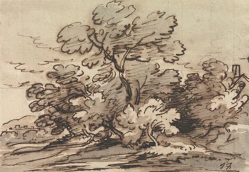 Eine Baumgruppe