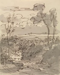 Bäume und hügelige Landschaft