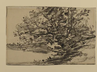 Studie von Bäumen, 1870
