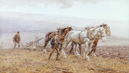 Pflügen der Hügel