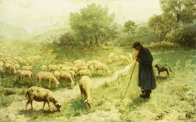 Schäfer