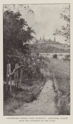 Churchyard Bottom Wood, Highgate, Alexandra Palace von den Rändern des Waldes
