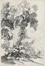 Ein hoher Baum mit Reisenden