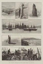 Die Fischereiindustrie an der Westküste Irlands