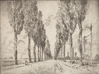 Die Allee, Valenciennes, 1910