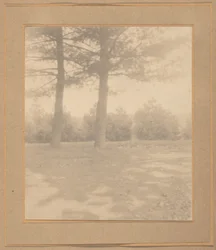 Landschaft mit Bäumen, ca. 1900