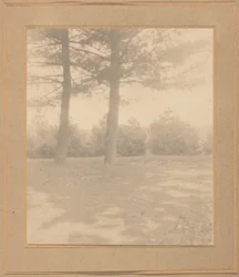 Landschaft mit Bäumen, ca. 1900