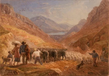 Hirten treiben Rinder und Schafe durch den Tal-y-Llyn-Pass in Wales
