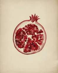 Saftiger roter Granatapfel