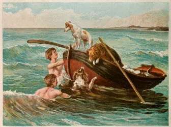 Hunde in einem Boot, 20. Jahrhundert