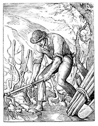 Der Winzer