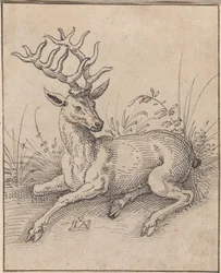 Der Hirsch