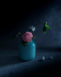 Stimmungsvolle Rosa Blüte
