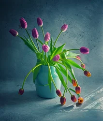 Lebendige Hängende Tulpen
