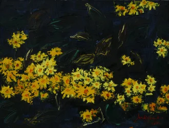 Nachtschattengarten